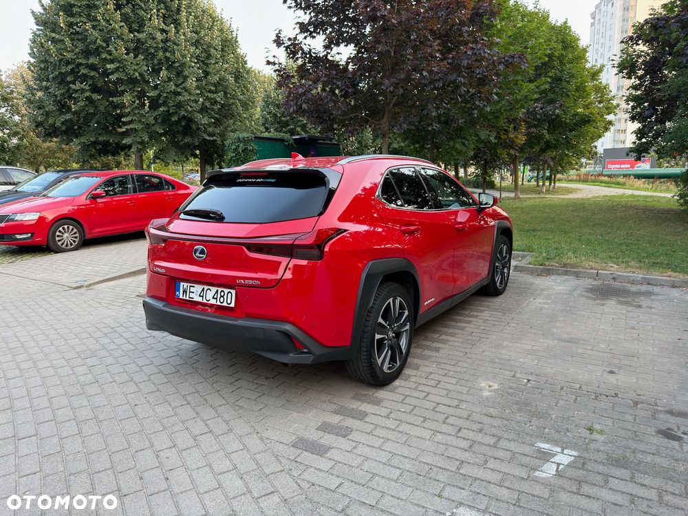 Lexus UX 250h GPF Business Edition 2WD - 9