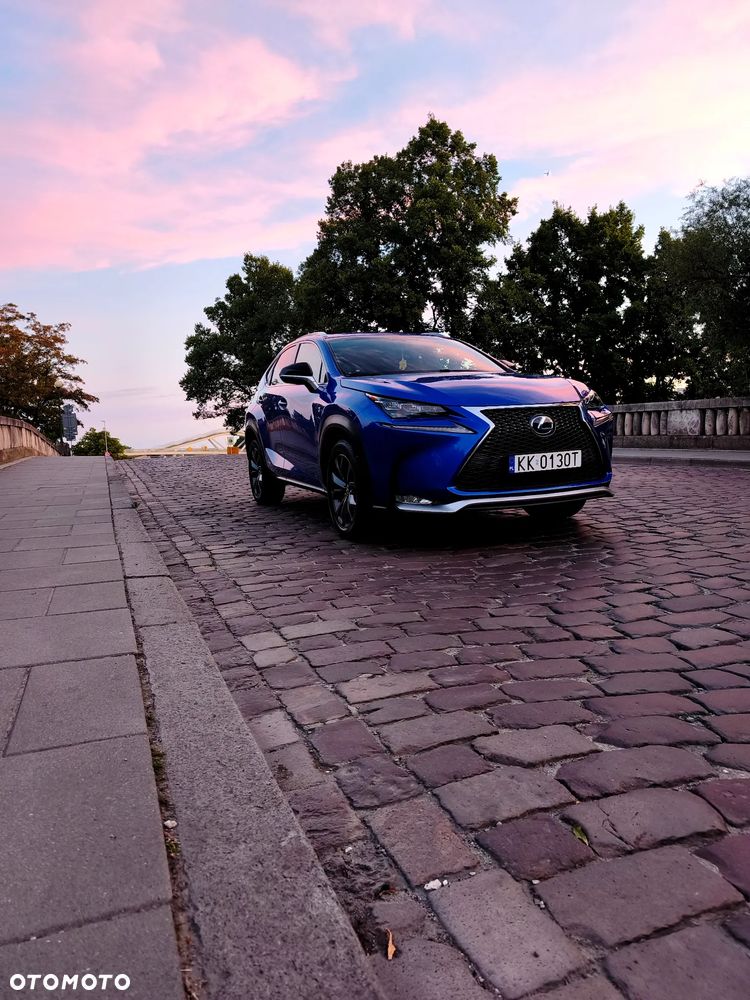 Lexus NX 300h E-FOUR F SPORT - 4