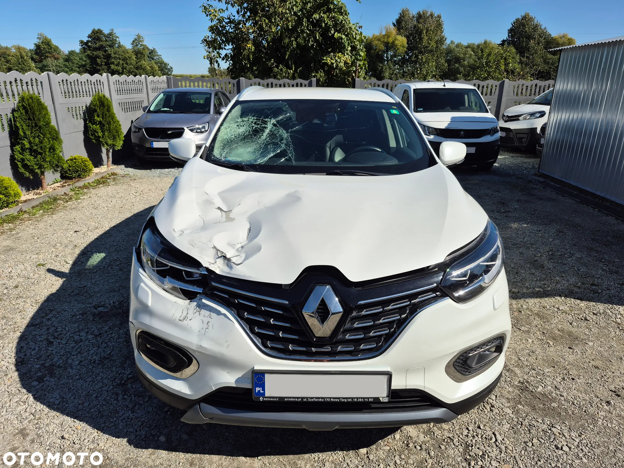 Renault Kadjar 1.3 TCe FAP Intens - 2
