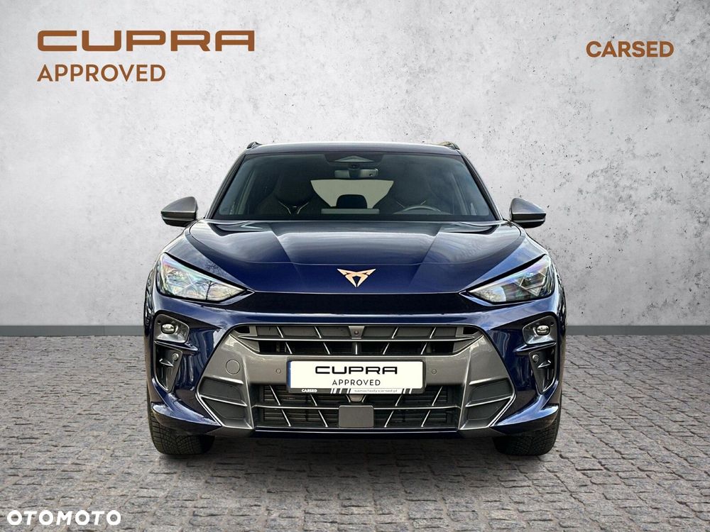 Cupra Terramar - 10