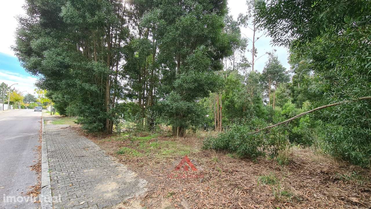 Terreno Para Construção / Habitação - Grande imagem: 3/24