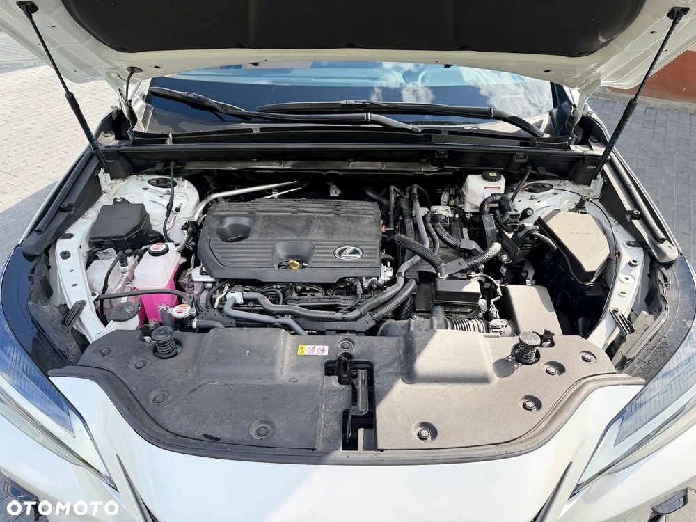Lexus NX 350h Prestige 2WD - 26
