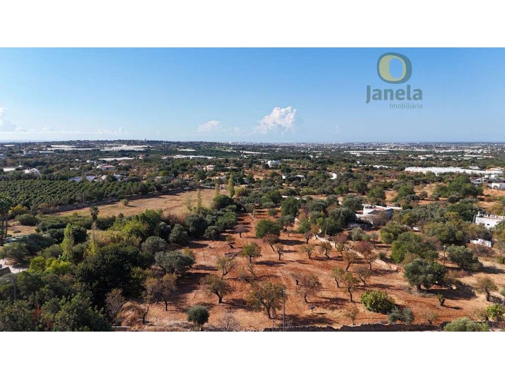 Terreno Urbano em Estoi - Uma Oportunidade Única de Investimento! c... - Grande imagem: 4/9