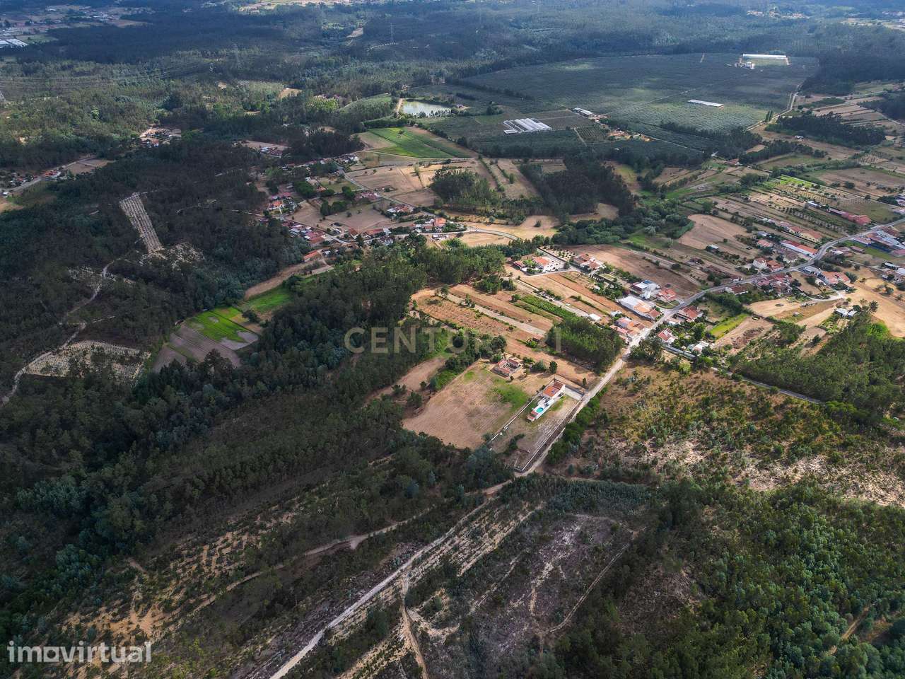 Pinhal com 1.425 m² em Brejal – Cabeça Alta, Seixo de Gatões, Montemor - Grande imagem: 3/13