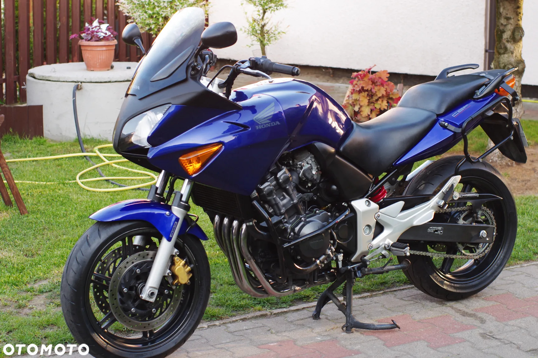 Honda Hornet - 18