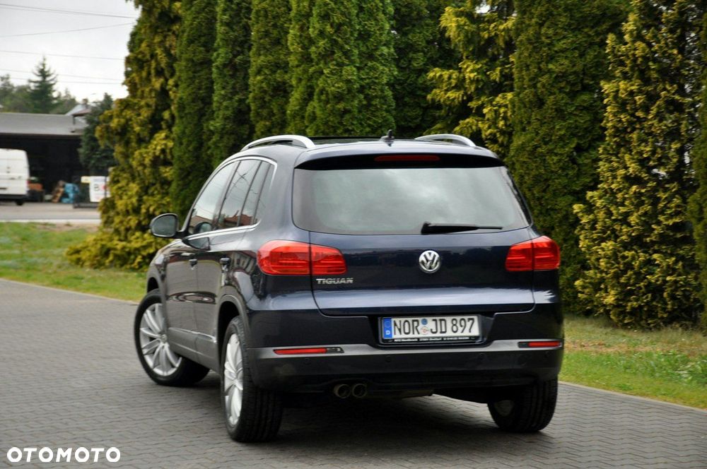Volkswagen Tiguan - 15