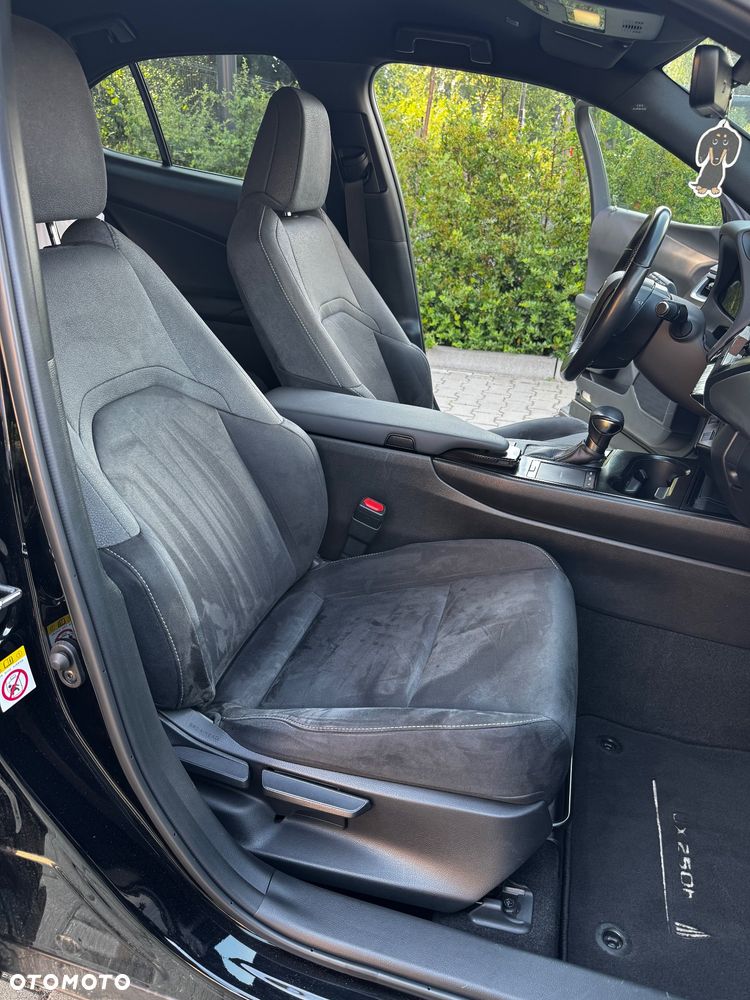 Lexus UX 250h GPF Prestige 2WD - 30
