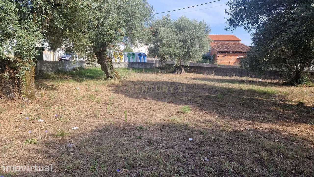 Excelente terreno em Barreiras - Grande imagem: 3/16