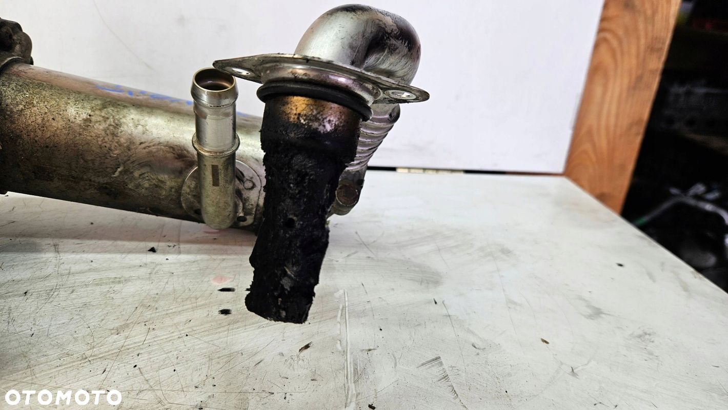 レオン Używany Chłodnice spalin - 300 PLN - Otomoto.pl