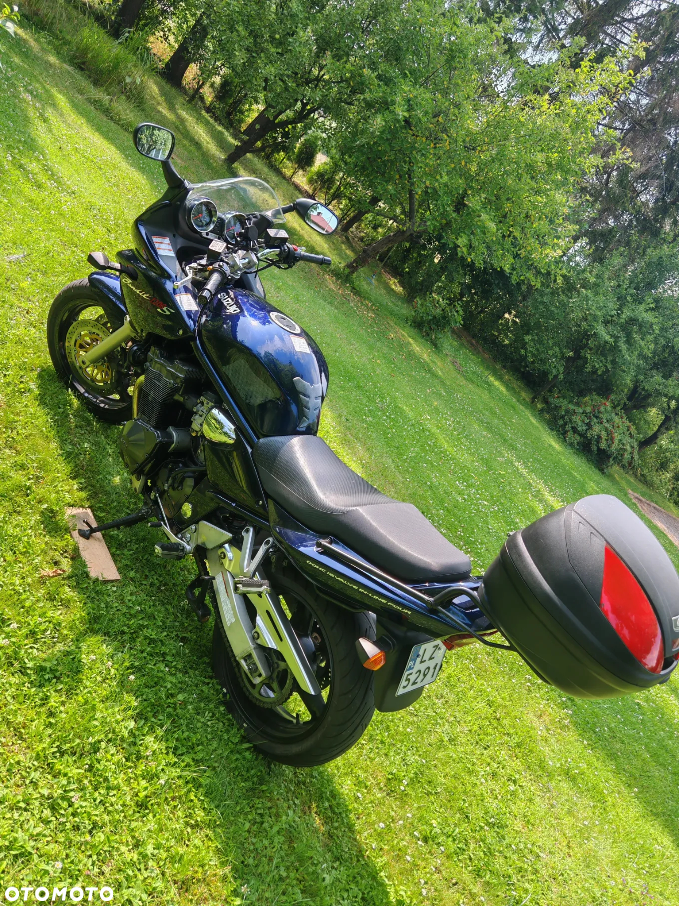 Suzuki Bandit - 4
