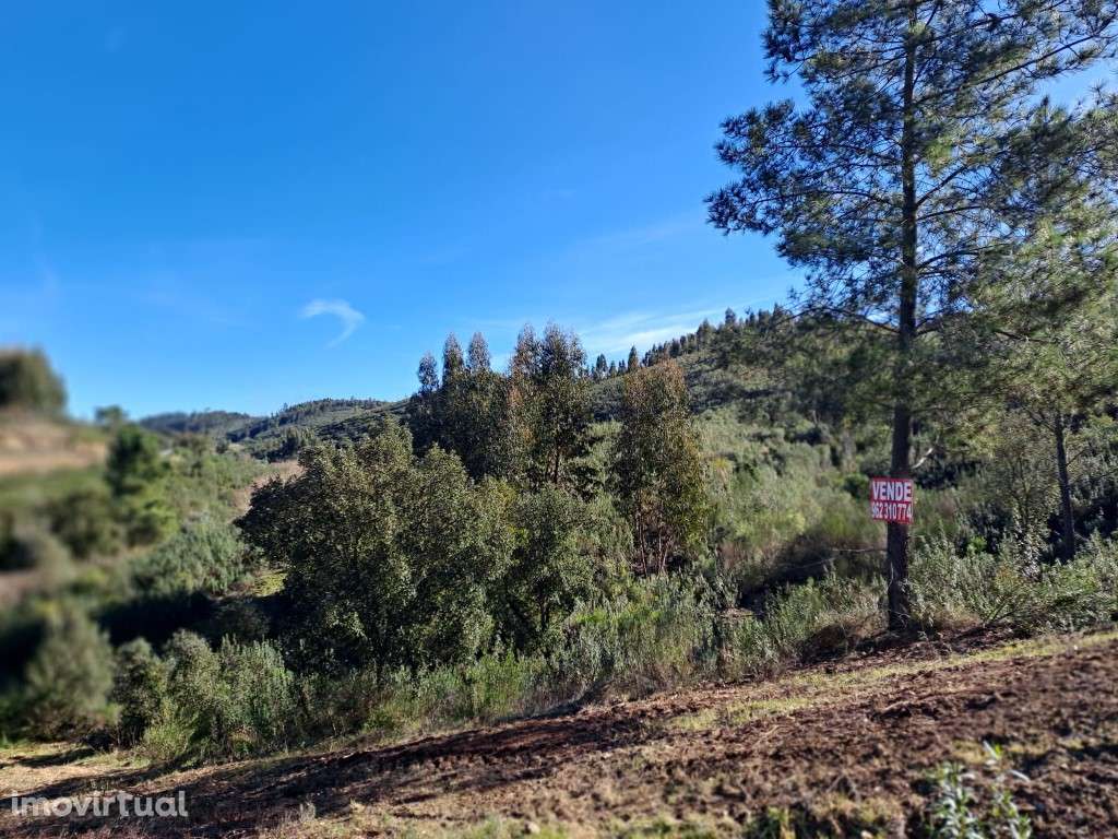 Venda conjunta de vários terrenos rústicos próximos a Cardigos - Ma... - Grande imagem: 2/21