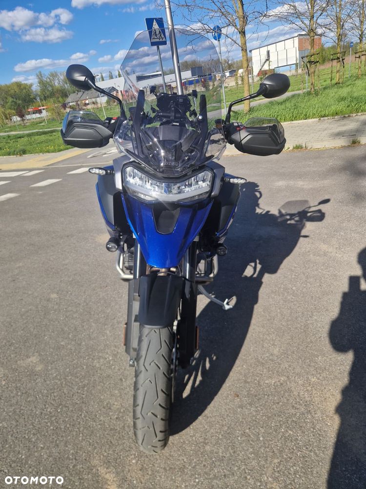 Triumph Tiger - 6