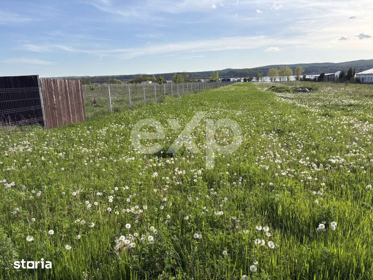 Teren 2100 mp cu iesire la lac – Budeasa Mare - Imagine principală: 2/5