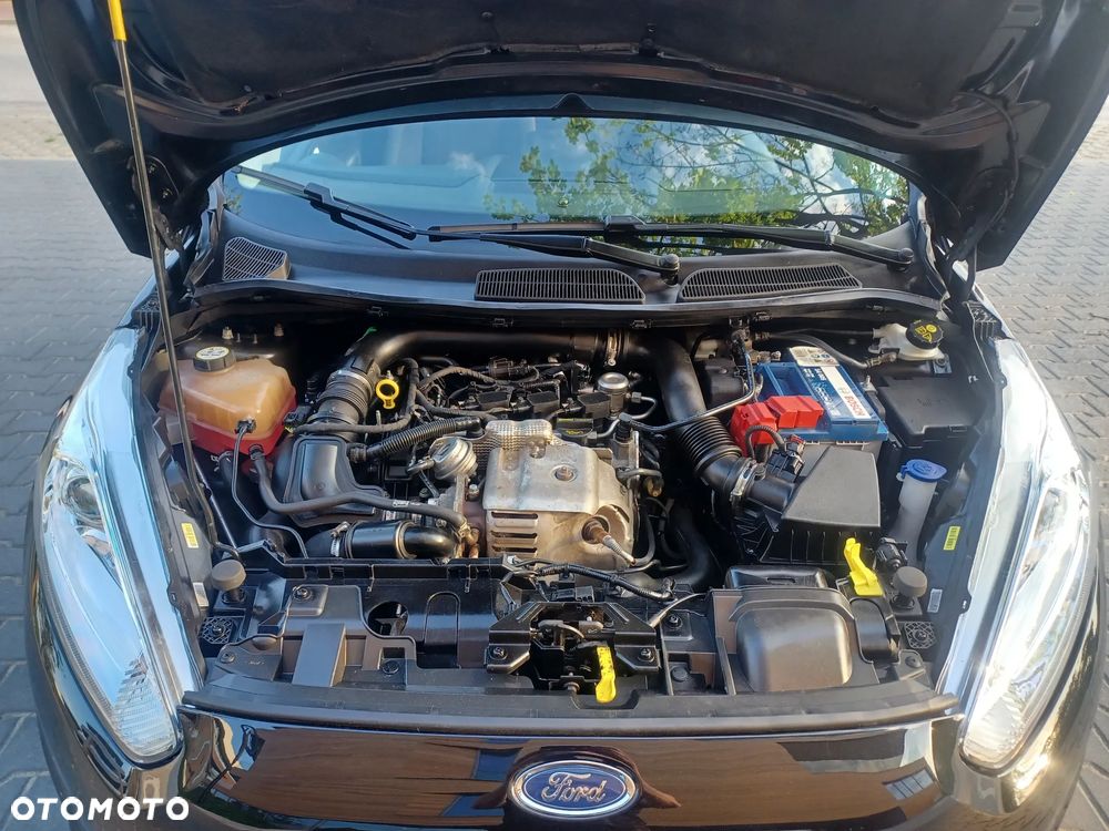 Ford Fiesta - 23