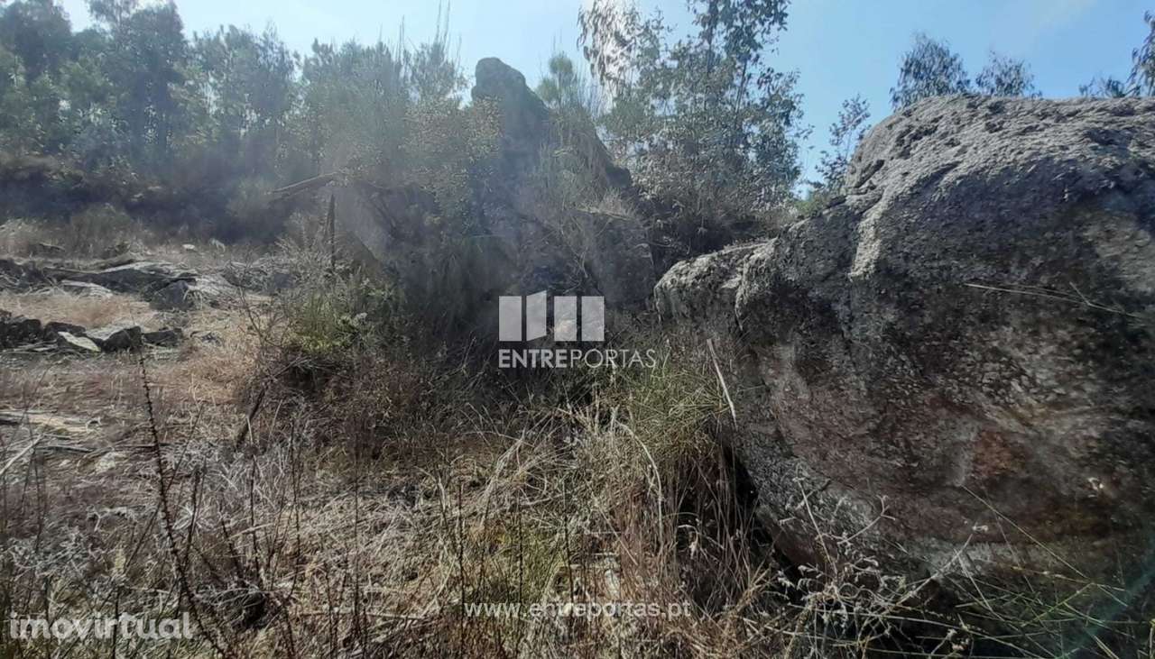 Venda de Terreno - Bouça, Vila Seca, Barcelos - Grande imagem: 3/10