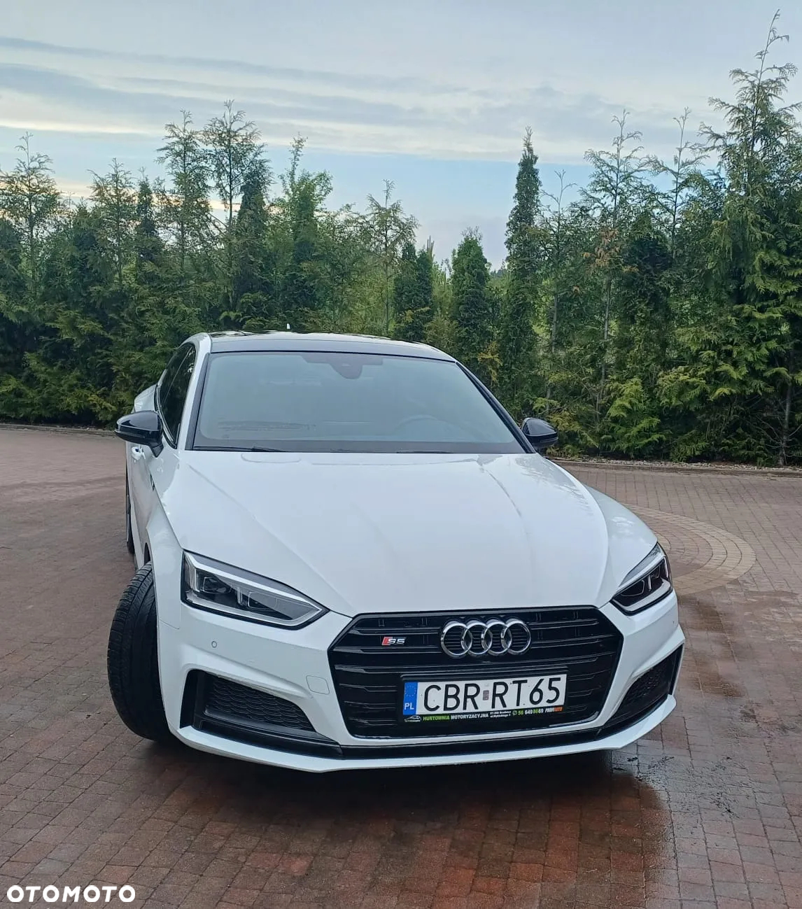 Audi S5 3.0 TFSI Quattro Tiptronic - 19