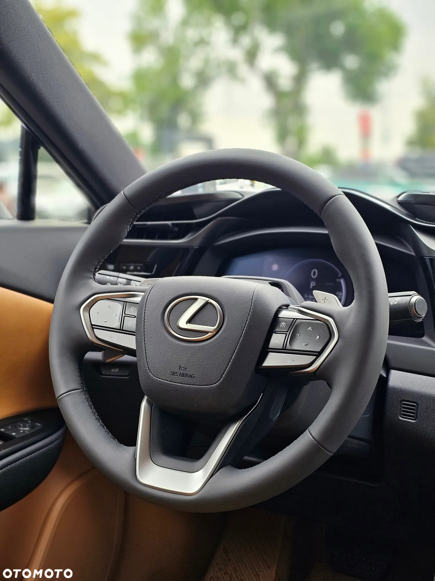 Lexus RZ 300e Prestige - 13