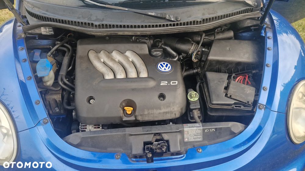 Volkswagen New Beetle - 8