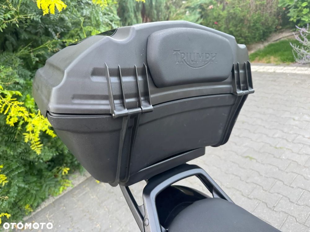 Triumph Tiger - 29