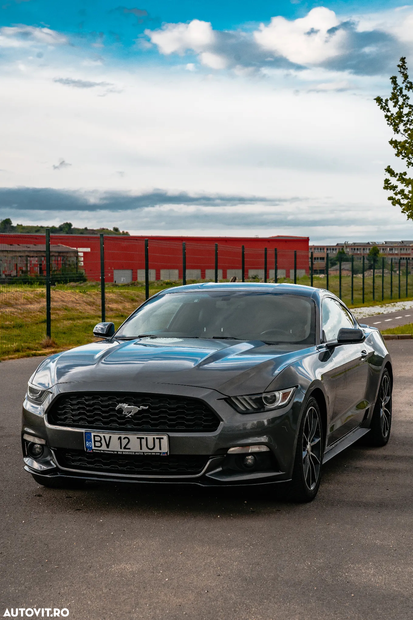 Ford Mustang 2.3 EcoBoost Aut. - 7