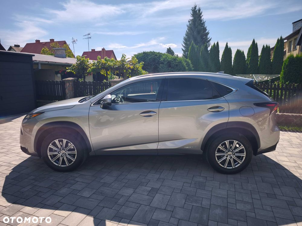 Lexus Nx 2014 photo 4