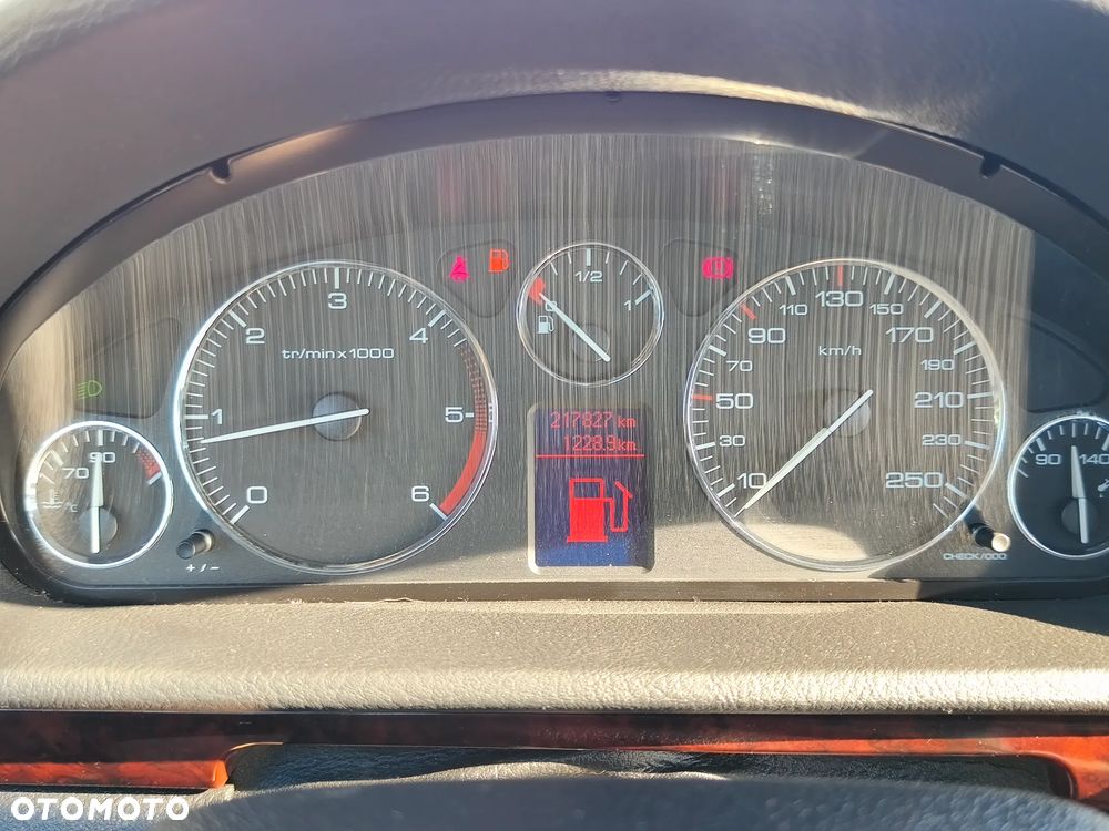Peugeot 407 HDi 135 Platinum - 12
