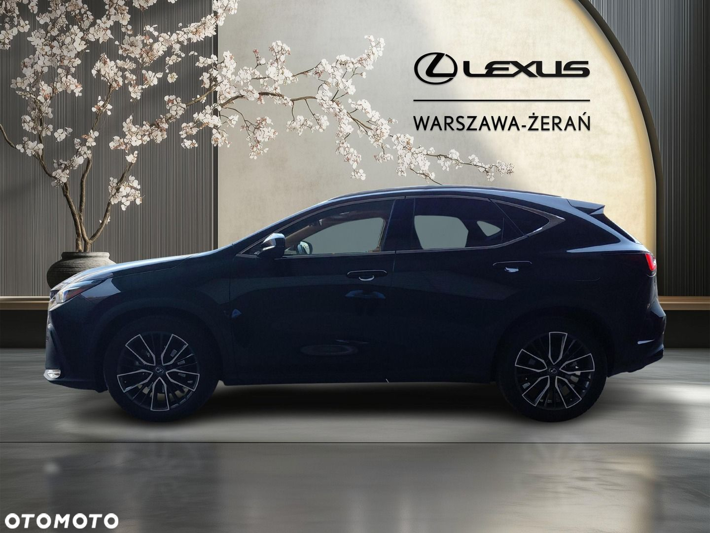 Lexus NX 350h Omotenashi AWD - 4