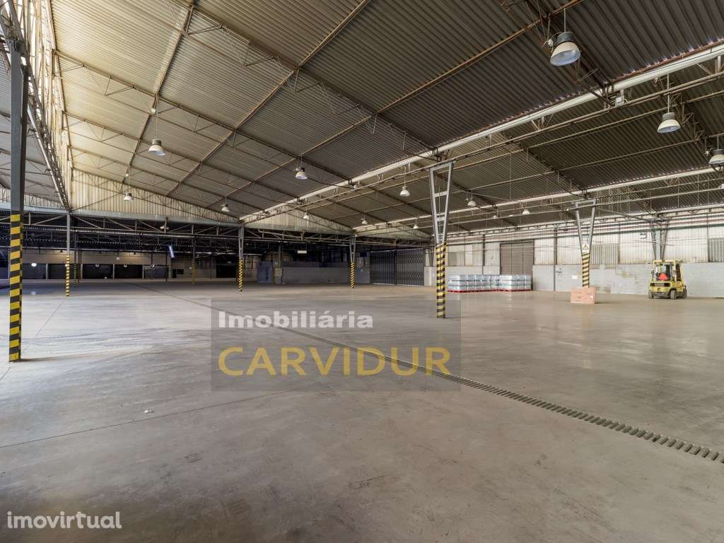 Armazém Industrial 200m2 até 23.000m2 naves com pé direito 8m. - Grande imagem: 2/42