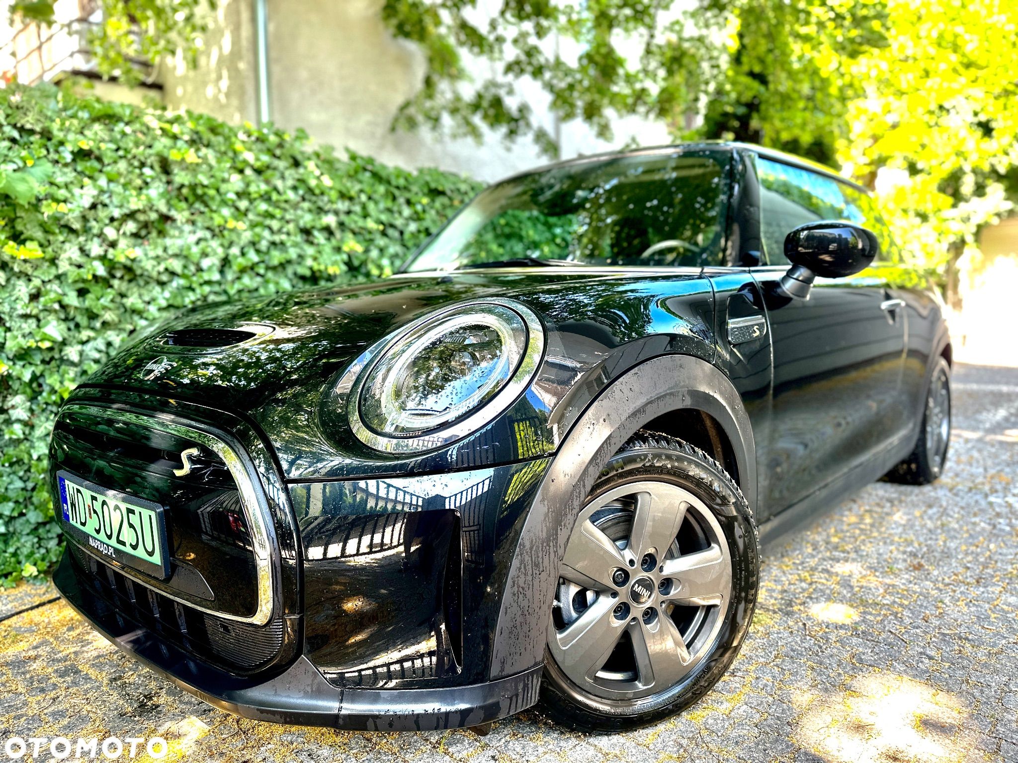 MINI Cooper SE Essential Trim - 1