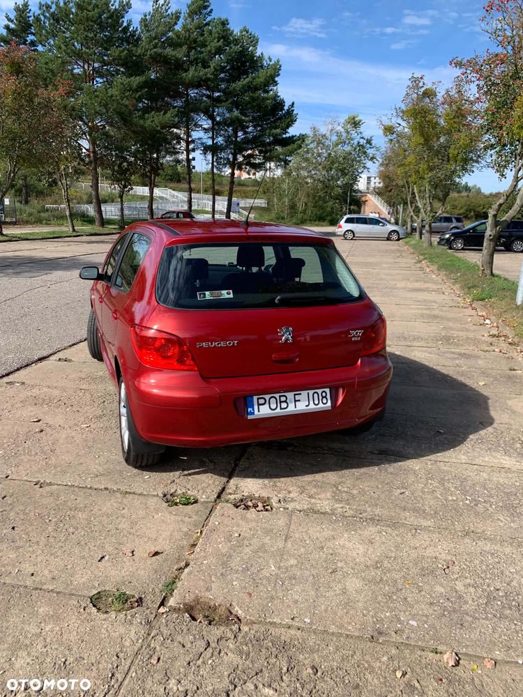Peugeot 307 1.6 HDI Premium - 19