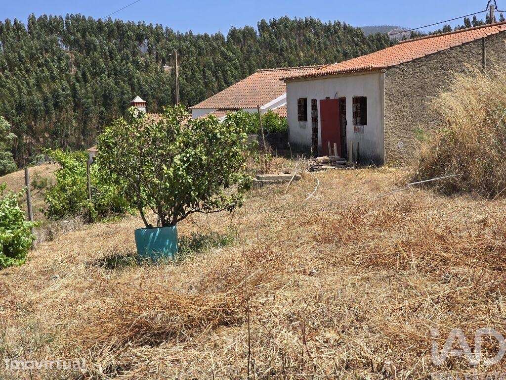 Casa rústica T2 em Sabóia de 100 m2 - Grande imagem: 5/31