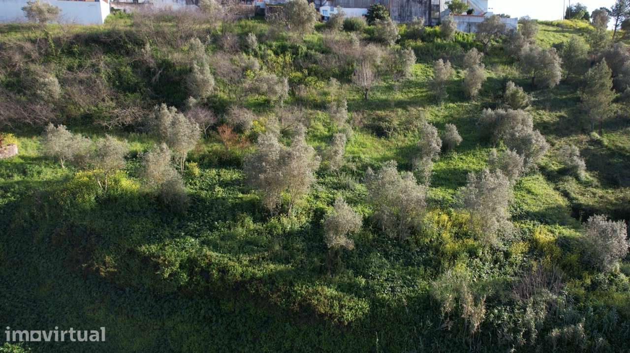 Terreno Rústico  Venda em Santarém (Marvila), Santa Iria da Ribeira de - Grande imagem: 4/6