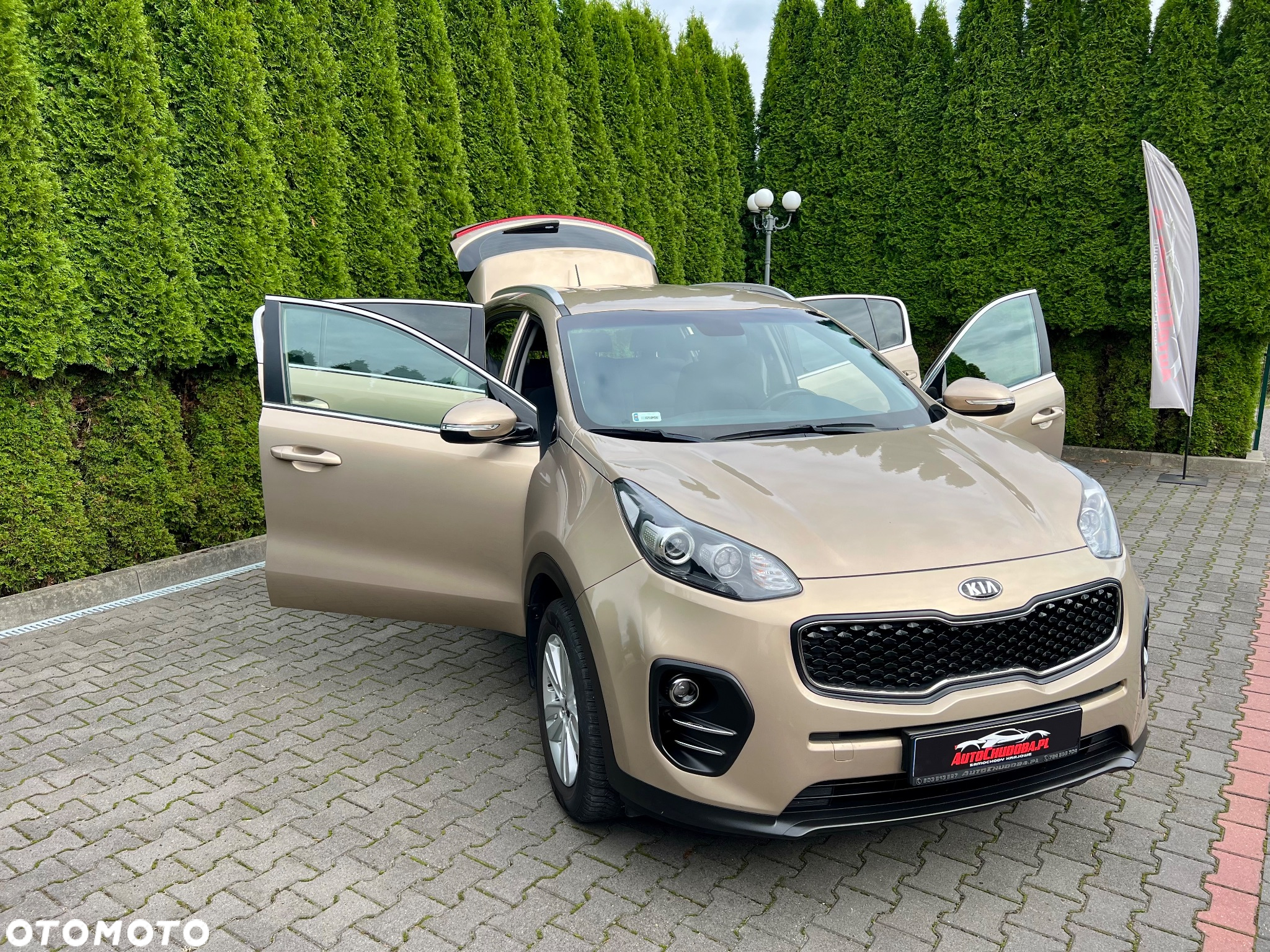 Kia Sportage 1.6 GDI M 2WD - 7