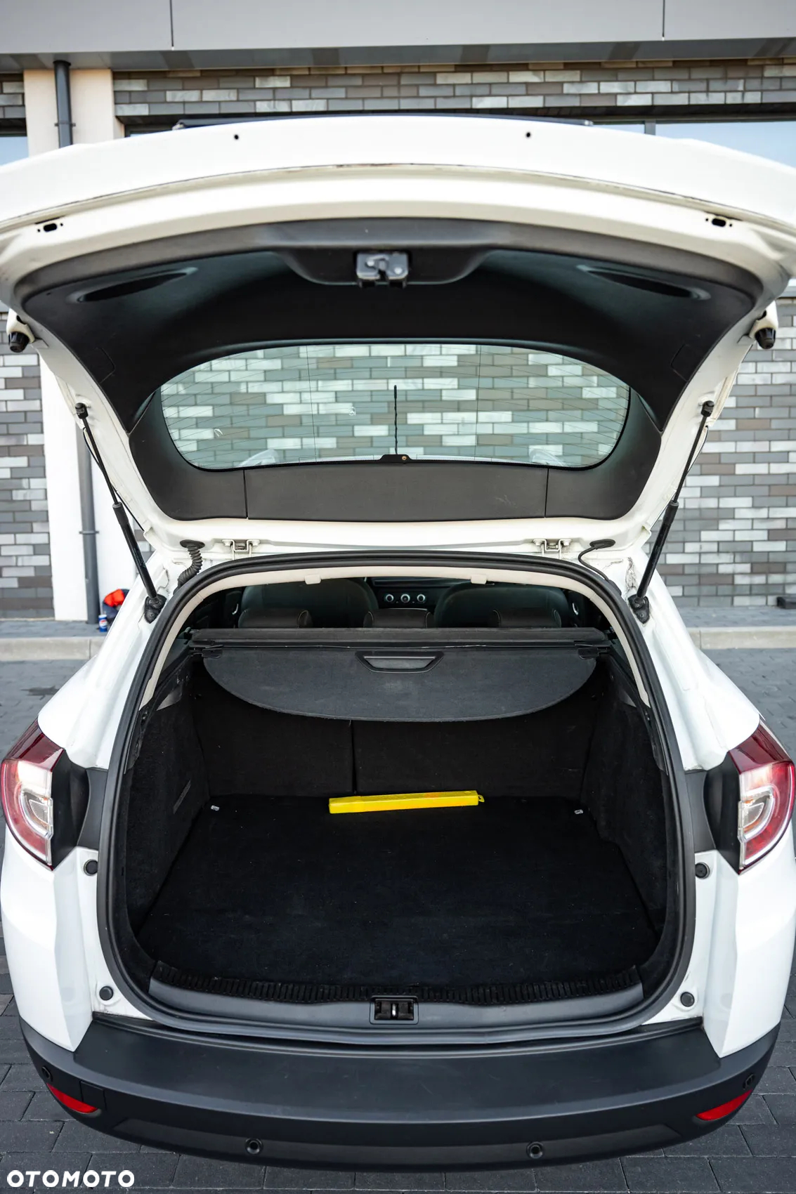 Renault Megane - 25