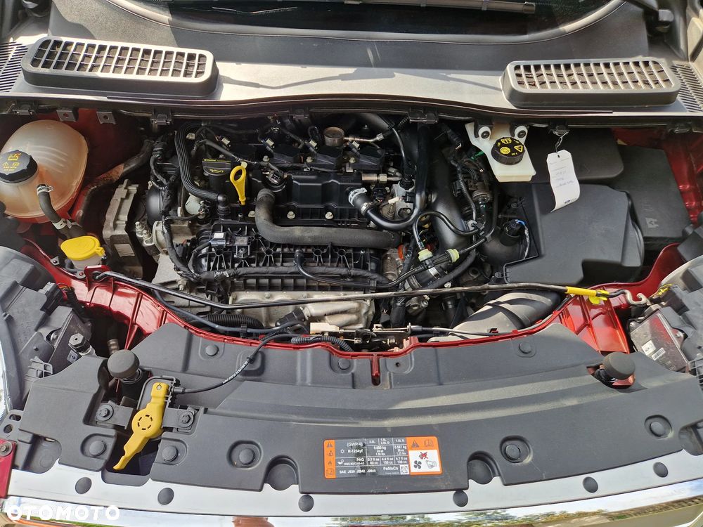 Ford Kuga 1.5 EcoBoost 2x4 Titanium - 16