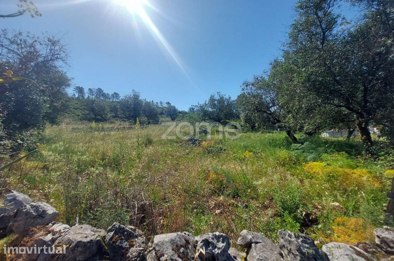 Terreno com 2500m2 a 10m de Fátima e 15 m da Batalha - Grande imagem: 3/18
