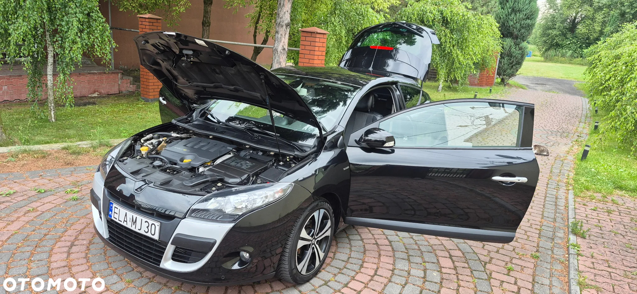 Renault Megane - 5