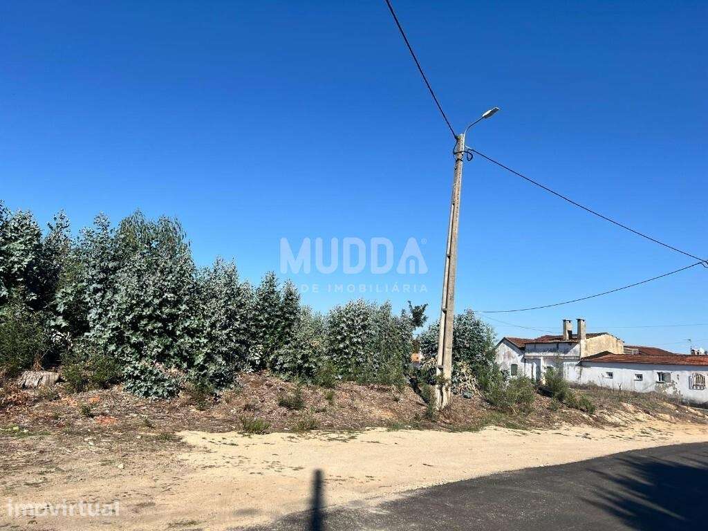Terreno com duas frentes e grande potencial de urbanização em Avanca - Grande imagem: 2/5