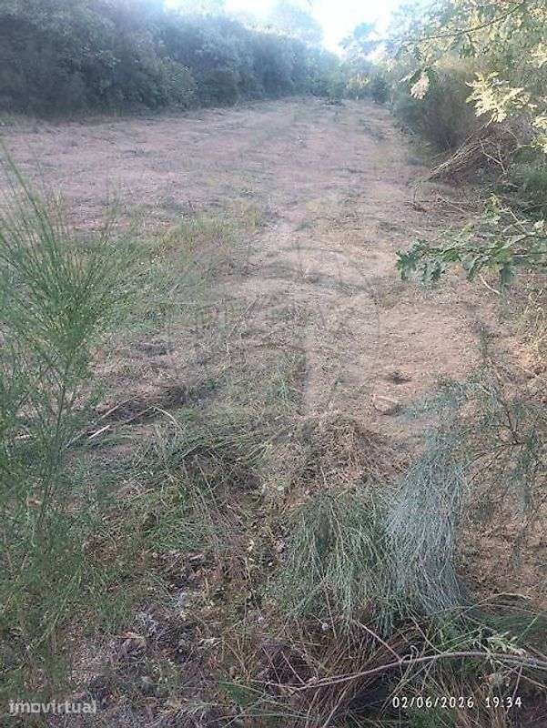 Terreno  para venda - Grande imagem: 3/3