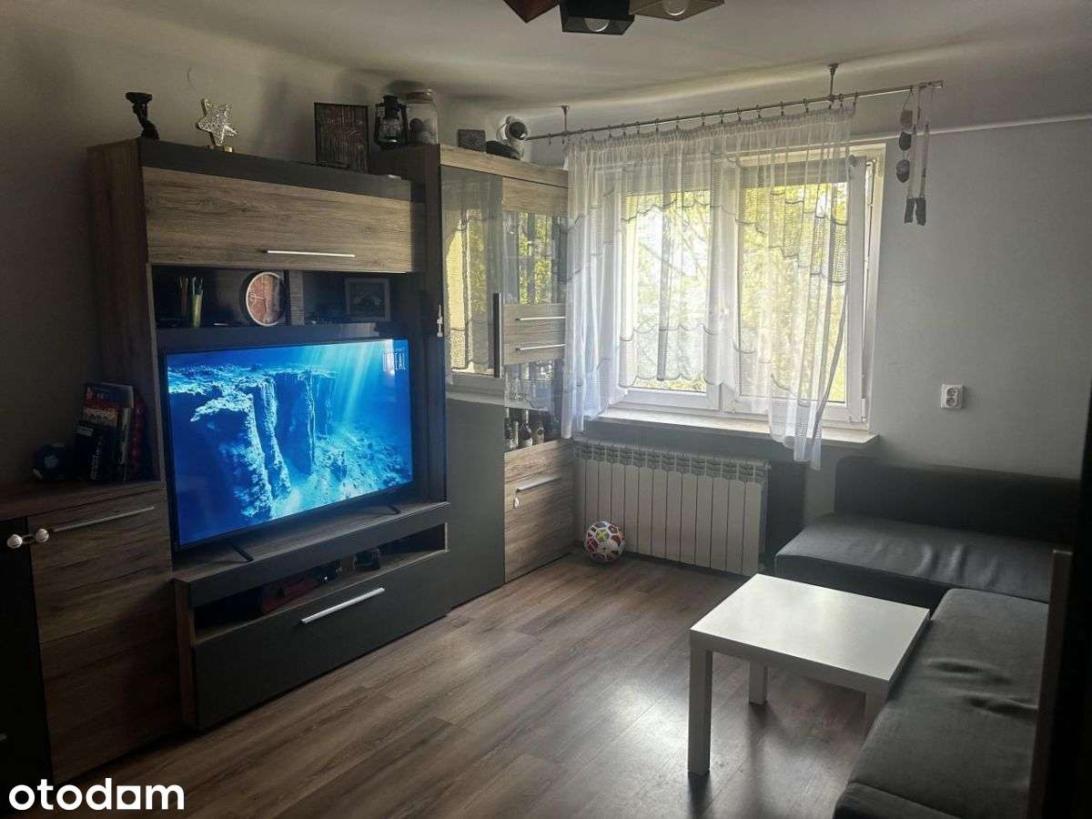 Przestronne 3 pokoje | Spokojna zielona dzielnica