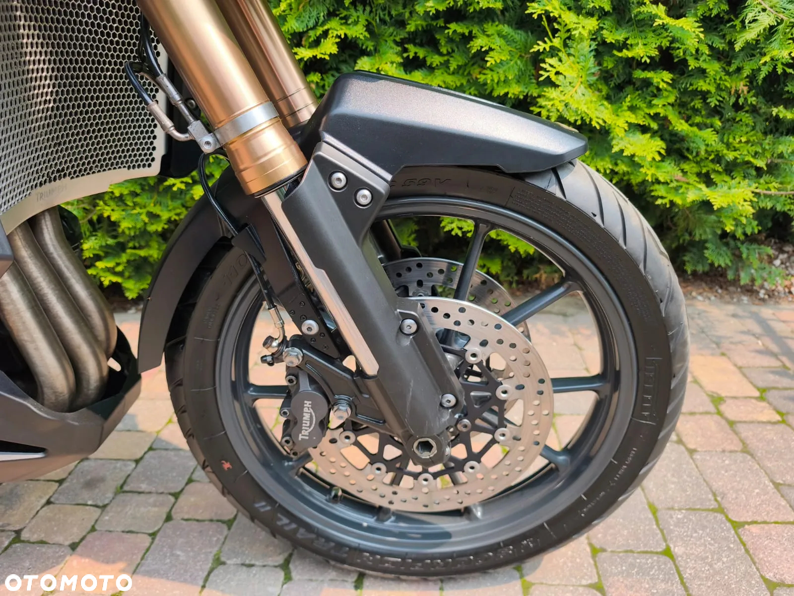 Triumph Tiger - 5