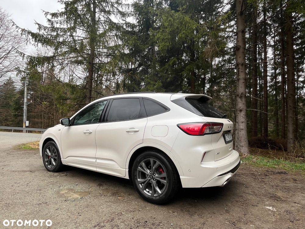Ford Kuga 2.0 EcoBlue AWD ST-Line - 3