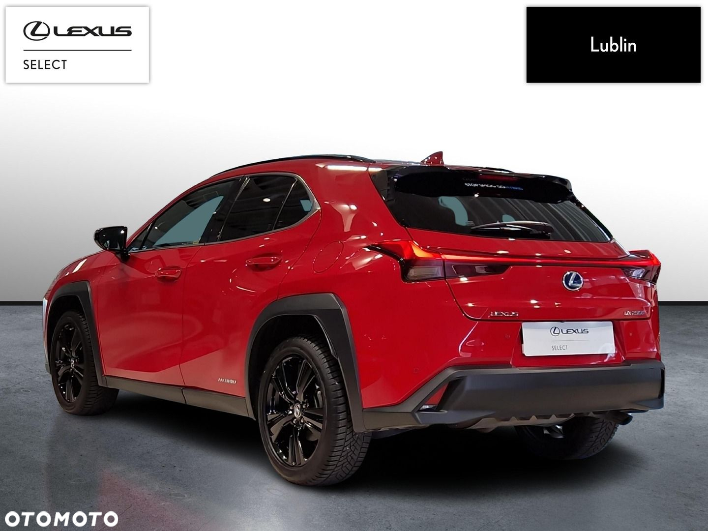 Lexus UX 250h GPF F Impression 2WD - 3