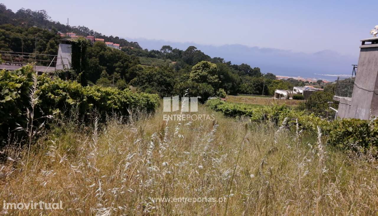 Terreno com vistas rio para venda, Moledo, Caminha - Grande imagem: 5/6