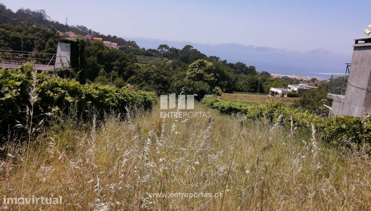 Terreno com vistas rio para venda, Moledo, Caminha - Grande imagem: 5/6