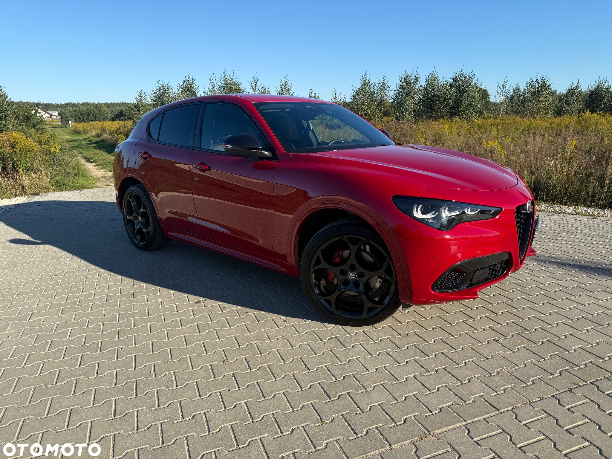 Alfa Romeo Stelvio 2.0 Turbo Intensa Q4 - 2