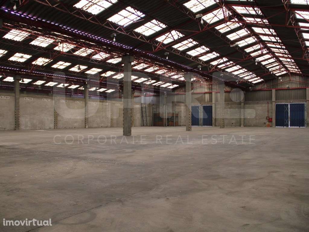 Armazém Logístico 1.075m2 | ARRENDA | Matosinhos - Grande imagem: 2/12