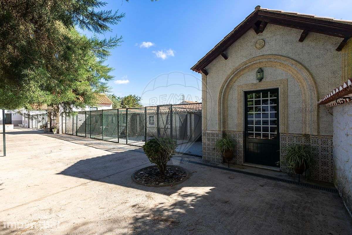 Quinta T10 para venda - Grande imagem: 4/50