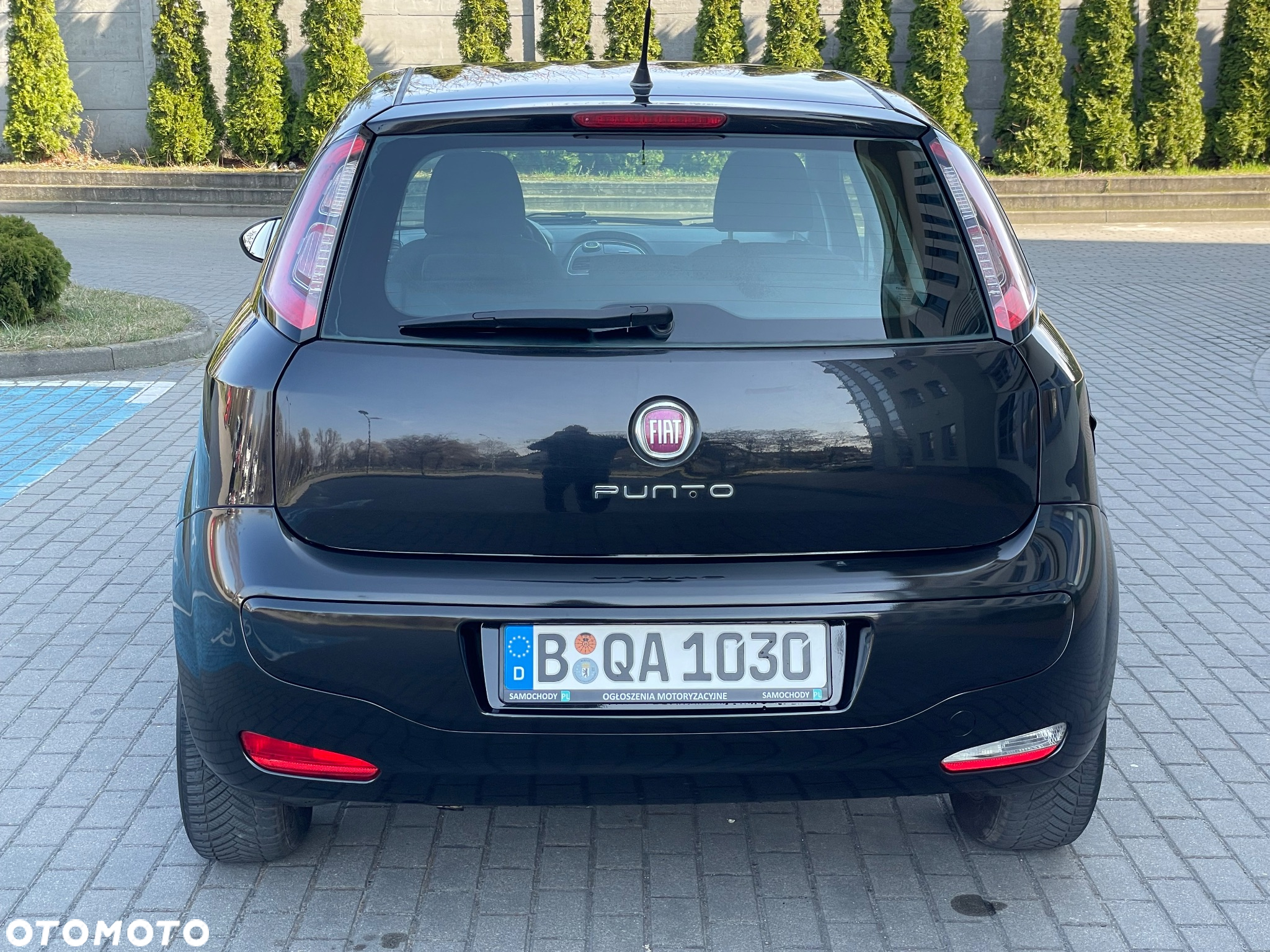 Fiat Punto Evo 1.2 8V MyLife Start&Stop - 13