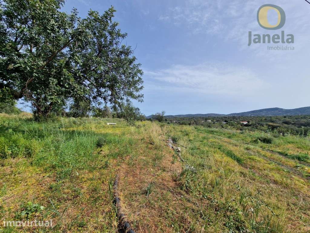 Terreno com viabilidade para Construir 4 moradias - Grande imagem: 3/15